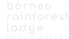 Borneo Rainforest Lodge (Staging)