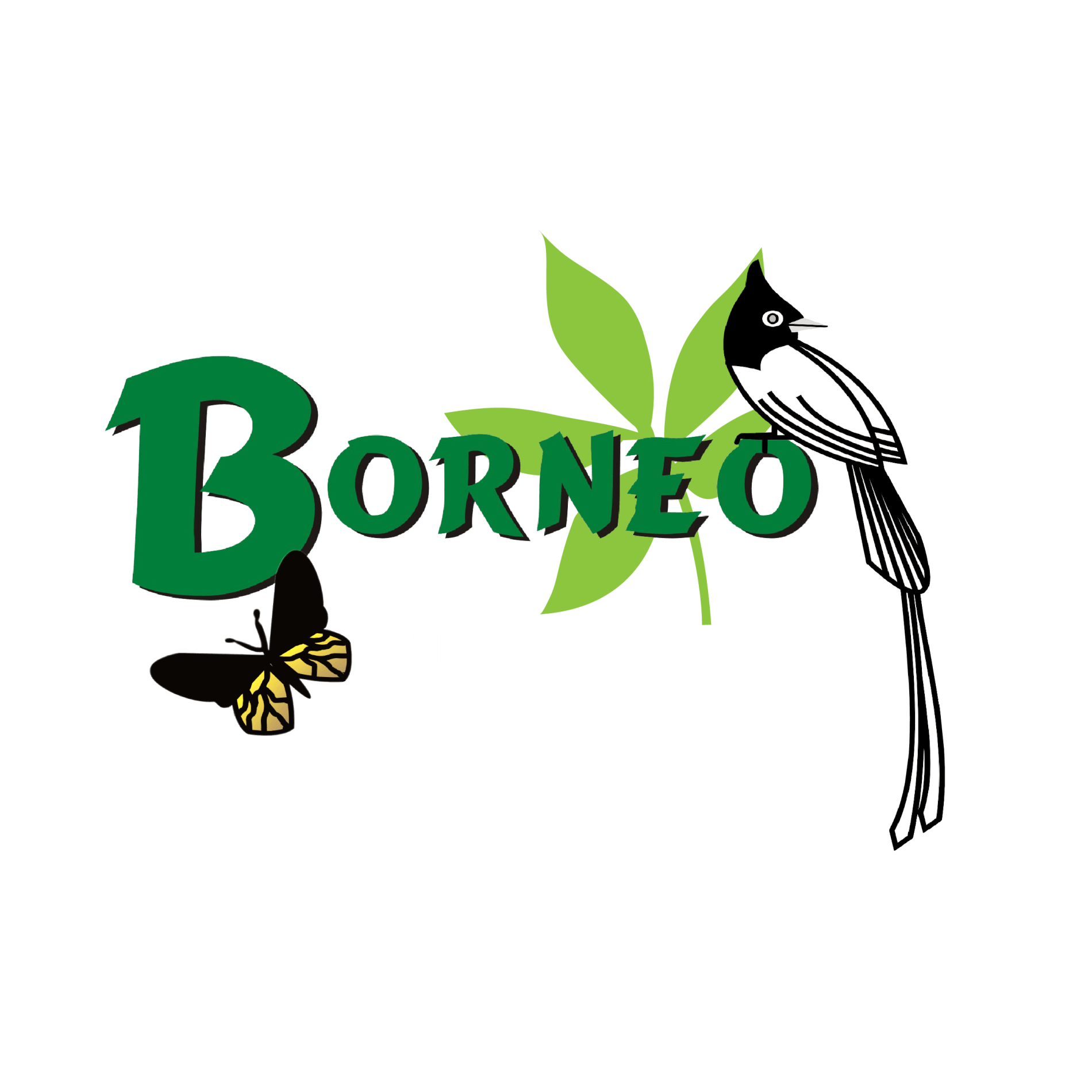 Borneo Rainforest Lodge (Staging)